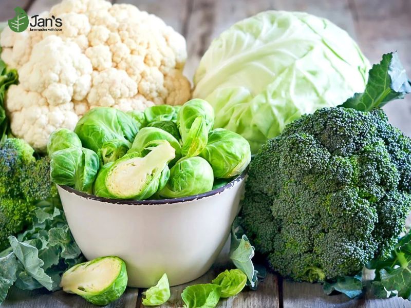 Lợi ích của bột rau củ hữu cơ
