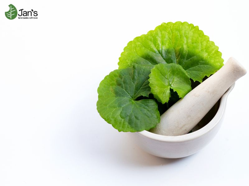 bột rau má