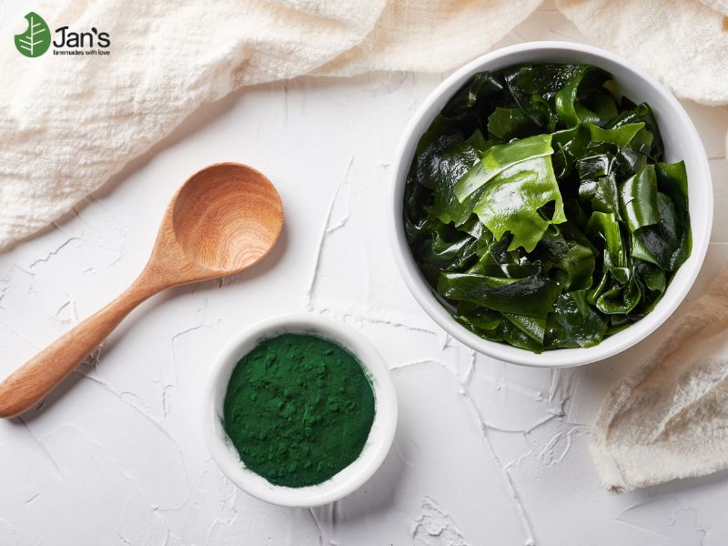 Bột tảo Spirulina
