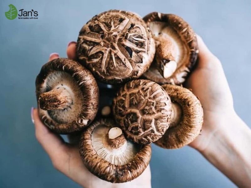 cách sử dụng hạt nêm rau củ nấm hương
